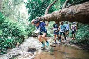 BIB: 
                            <button type="button" onclick="openModal(25374361)" class="btn btn-primary btn-sm float-right btn-popup" data-toggle="modal" data-target=".modal-high-quality">
                        <i class="fas fa-shopping-cart"></i> Add to Cart
                    </button>
                                            <button type="button" onclick="isThisMe(25374361, true)" class="btn btn-success btn-sm float-right btn-popup btn-isme hidden" data-toggle="tooltip" data-placement="bottom" title="นี่คือรูปของคุณใช่ไหม คลิกที่นี่เพื่อเอาเข้าอัลบั้ม">
                        <i class="fas fa-plus"></i> Add to album
                    </button>
                    <button type="button" onclick="isThisMe(25374361, false)" class="btn btn-warning btn-sm float-right btn-popup btn-isnotme hidden">
                        <i class="fas fa-ban"></i> Remove from album
                    </button>